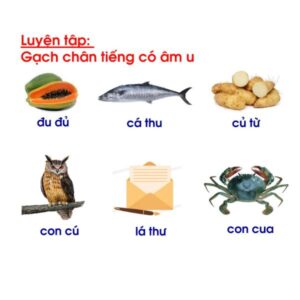 Vở luyện đọc tiền tiểu học hay chọn lọc