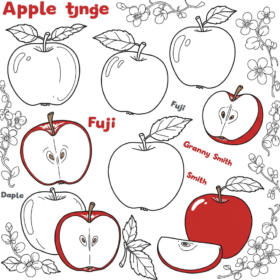 tranh to mau qua tao 9